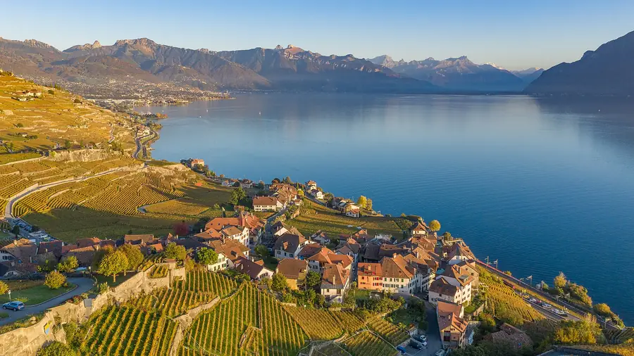 Viñedos de Lavaux sobre el lago Lemán